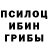 Галлюциногенные грибы Magic Shrooms Rudolfs Bojars