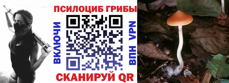 Галлюциногенные грибы прущие грибы  Дегтярск 